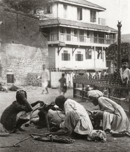 Shoeing a Bullock, India