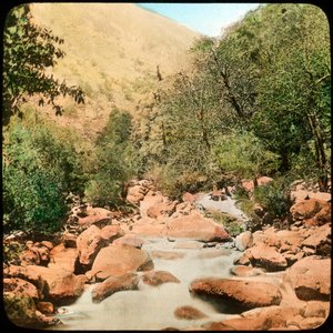 Sindh Valley, Kashmir, India