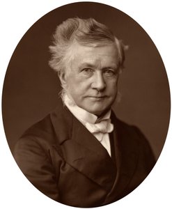 Sir Robert Lush, Judge of the High Court of Justice, 1881 by Unbekannt