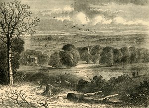 Site of the Crystal Palace in 1852, c1878 by Unbekannt