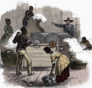 Slave Labour on a Cotton Plantation in the Southern States of America by Unbekannt