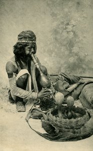 Snake Charmer