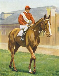 Snake Lightning. Jockey: T. Hawcroft by Unbekannt