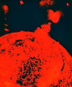 Solar Eruption by Unbekannt