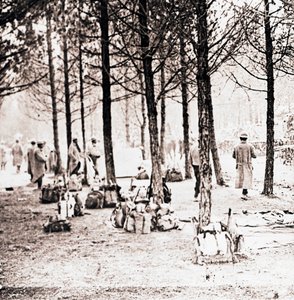 Soldiers and packs in woods, c1914-c1918 by Unbekannt