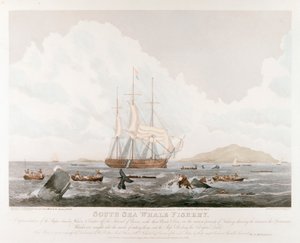 South Sea Whale Fishery by Unbekannt
