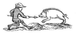 Spearing a Boar by Unbekannt