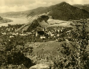 Spitz an der Donau, Wachau, Lower Austria by Unbekannt