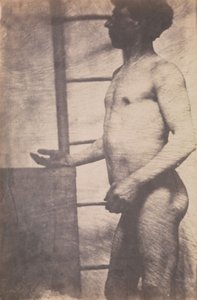 Standing Male Nude