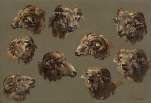 Studies of Ram Heads