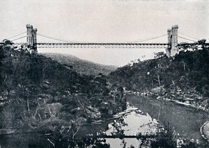Suspension Bridge, Middle Harbour, c. 1900