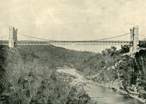 Suspension Bridge, North Sydney, 1901