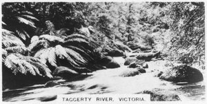 Taggerty River, Victoria, Australia
