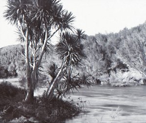Te Waihou River, Okoroire, late 19th-early 20th century
