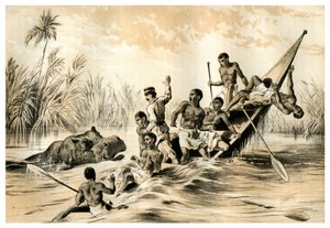 The Adventure with a Hippopotamus