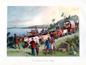 The Arrival at Lake Ngami