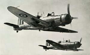 The Blackburn Roc