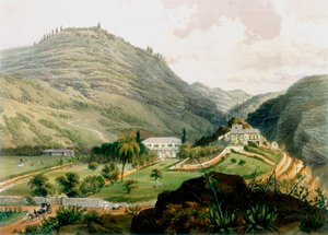 The Briars, St Helena, Early 19th Century