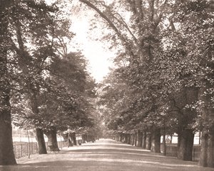The Broad Walk, Oxford