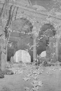 The Courtyard of the Pigeons Mosque, 1913 by Unbekannt