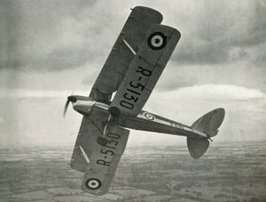 The De Havilland Tiger Moth, 1941 by Unbekannt
