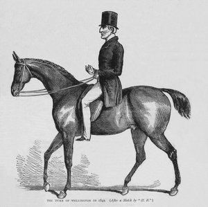 The Duke of Wellington