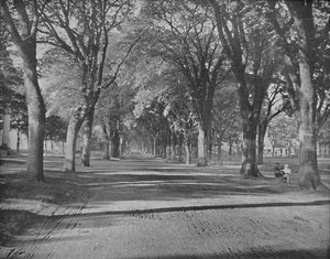The Elms, New Haven, Conn.