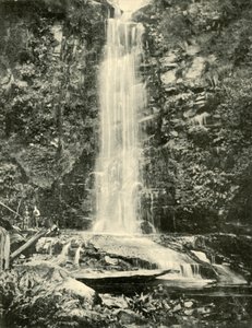 The Erskine Falls, Near Lorne by Unbekannt