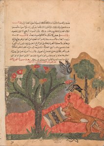 The Fox and the Drum, Folio from a Kalila wa Dimna by Unbekannt