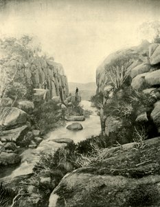 The Gorge, Buffalo Falls, Victorian Alps by Unbekannt