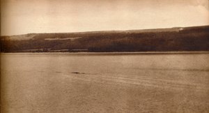 The Loch Ness Monster by Unbekannt