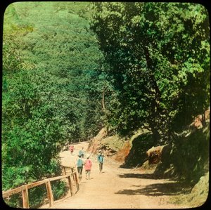The Mall Road, Simla, India
