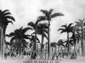 The Marte Camp