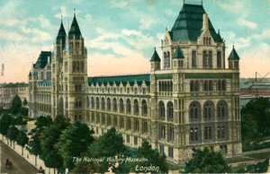 The National History Museum, London, c1910