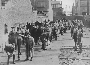 The New Army in training at the Farriers School by Unbekannt