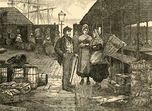 The Old Fish Market