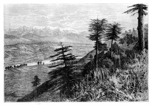 The Paiwar Pass