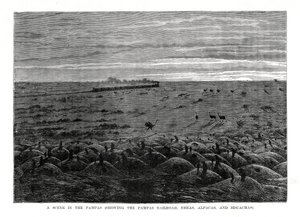 The Pampas Railroad, South American Lowlands, 1877 by Unbekannt