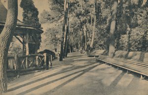 The Pine Walk, 1929
