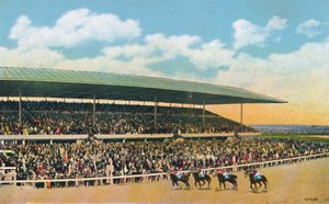 The Race Track, Hialeah, near Miami, Florida, USA
