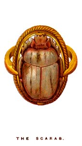 The Scarab by Unbekannt