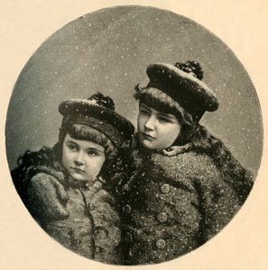 The Snow-Birds Christmas-Tree, 1883