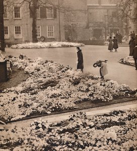 The State Funeral of King George V at Windsor: memorial wreaths by Unbekannt