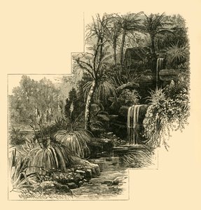 The Tropical Gardens, Battersea Park, c1878 by Unbekannt