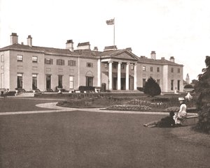 The Viceroy