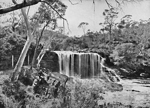 The Weeping Rock at Wentworth Falls, Blue Mountains by Unbekannt