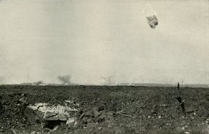 The Woolly Bear, 1919