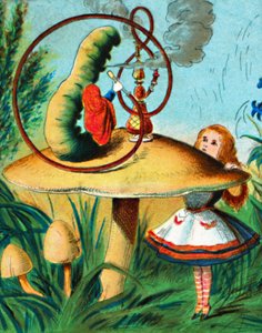 The Caterpillar on His Mushroom, 1900 by Unbekannt