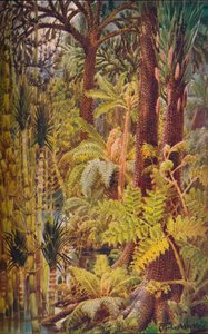 The Gigantic Vegetation of the Carboniferous Age by Unbekannt