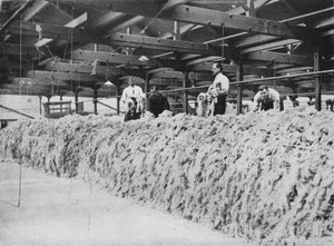 The making of khaki - Wool blending by Unbekannt